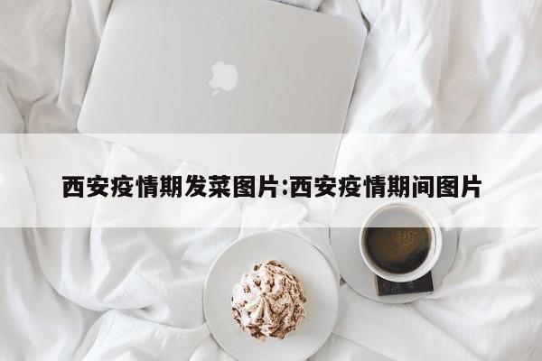 西安疫情期发菜图片:西安疫情期间图片