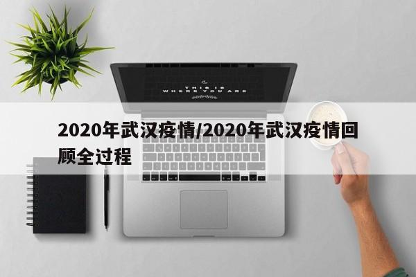 2020年武汉疫情/2020年武汉疫情回顾全过程
