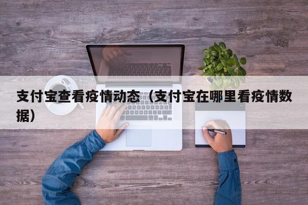 支付宝查看疫情动态（支付宝在哪里看疫情数据）