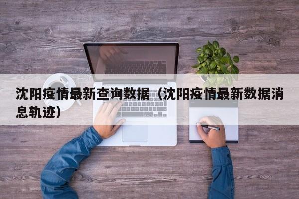 沈阳疫情最新查询数据（沈阳疫情最新数据消息轨迹）