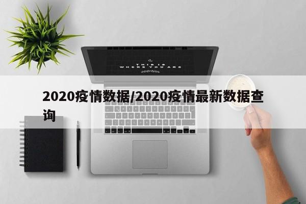 2020疫情数据/2020疫情最新数据查询