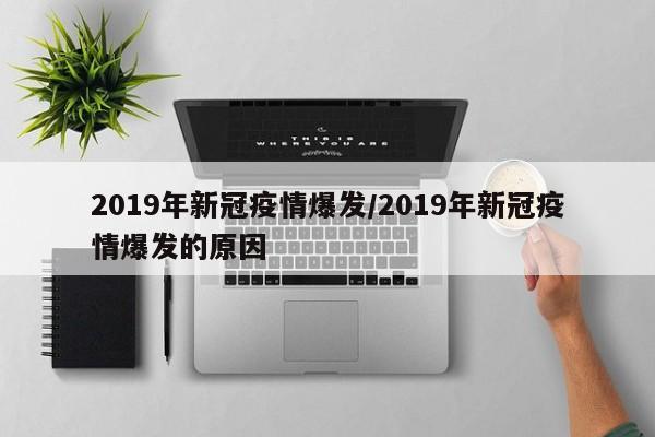 2019年新冠疫情爆发/2019年新冠疫情爆发的原因